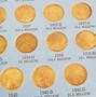 Image result for Wheat Penny Coin Collection