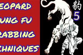 Image result for Leopard Kung Fu