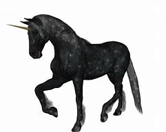 Image result for Black Unicorn