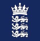 Image result for England Cricket T20