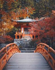 Image result for Aesthetic Places in Japan