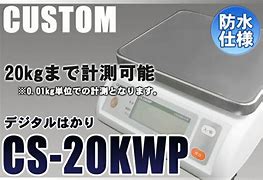 Image result for Custom CS 20 KWP