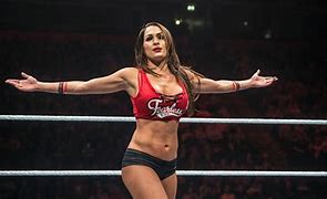 Image result for WWE Nikki Bella Attire