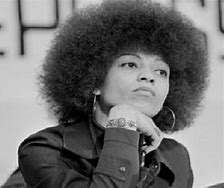 Image result for Angela Davis Childhood