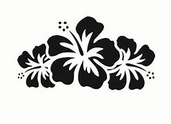 Image result for Hawaiian Flower Decals