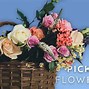 Image result for Grow and Pick Your Own