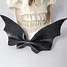 Image result for Bat Hair Accessories