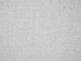 Image result for White Canvas Texture