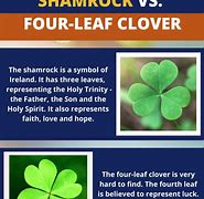 Image result for Shamrock Four Leaf Clover