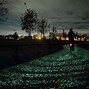 Image result for Red Glow in the Dark Paint