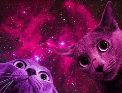 Image result for iPhone 8 Cases Space Cats