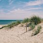 Image result for Netherlands Beach Tour