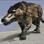 Image result for What Is the Biggest Animal in the World