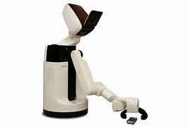 Image result for Human Support Robot