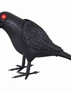 Image result for Halloween Crow Animated