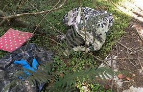 Image result for Human Remains Found in Castle