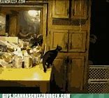 Image result for Train Hits Truck GIF