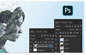 Image result for Graphic Artist Software