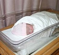 Image result for Spring New Birth Bible 1 Peter