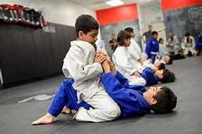 Image result for Mixed Martial Arts for Kids