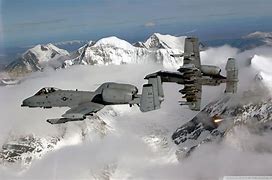 Image result for A-10 Warthog in Combat