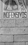 Image result for inofensivo