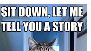 Image result for Telling a Story Meme