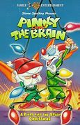 Image result for Pinky and the Brain Cast