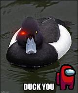 Image result for Duck USB Meme