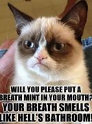 Image result for Take a Breathe Meme Cat