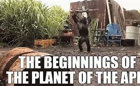 Image result for Valerie Jarrett Planet of the Apes Meme