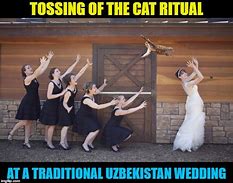 Image result for Cat Ritual Meme