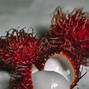 Image result for Lychee Taste