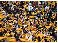 Image result for Steelers Fan Be Like