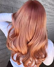 Image result for RG French Rose Hair Color
