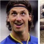 Image result for Zlatan Memes