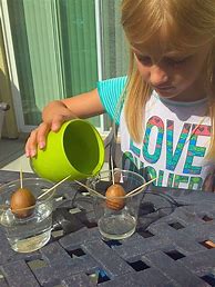 Image result for Gardening Activities for Kids