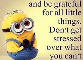 Image result for Studying Funny Minion Quotes