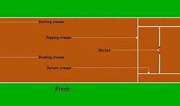 Image result for Cricket Bat Parts