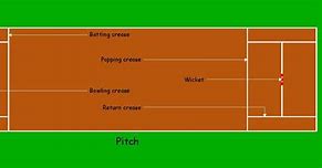 Image result for Synthetic Cricket Pitch