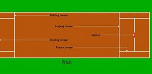 Image result for Cricket Batting