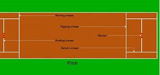 Image result for Cricket Bat Evolution