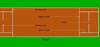 Image result for Cricket Drawing