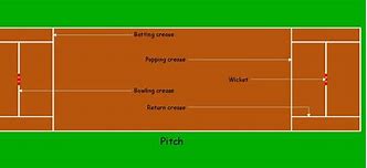 Image result for Cricket Cubism