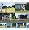 Image result for Small Cricket