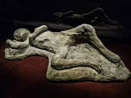 Image result for Pompeii Bodies Parent Holding Child