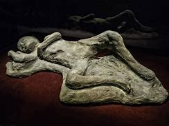 Image result for Pompeii Bodies Parent Holding Child