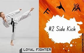 Image result for Basic Karate Kicks