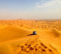 Image result for Dubai Horse Racing Sand Dunes