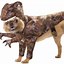 Image result for Dog Halloween Costumes for Adults